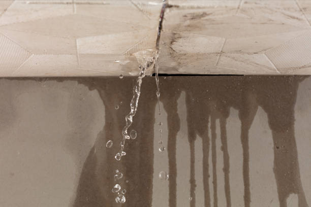 Professional Water Damage Repair technician working in Hollis, NY
